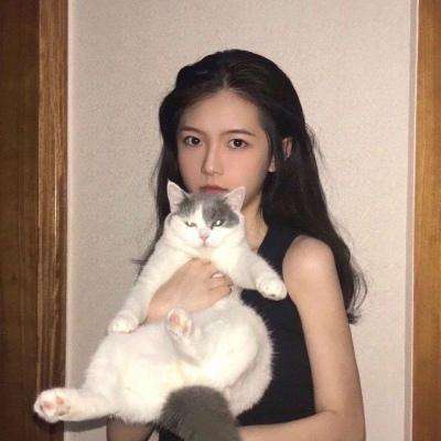 果盘龙城无双手游下载